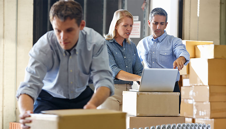 Affordable Calgary Web Design team members can create a complex web store design at affordable cost. 